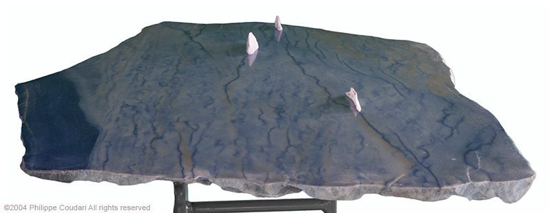 Glacier 1: "Destins"