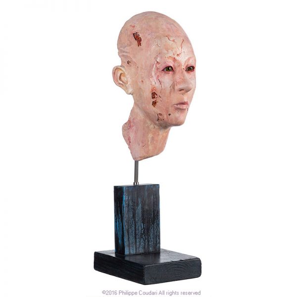 HISTOIRE D'UNE FEMME