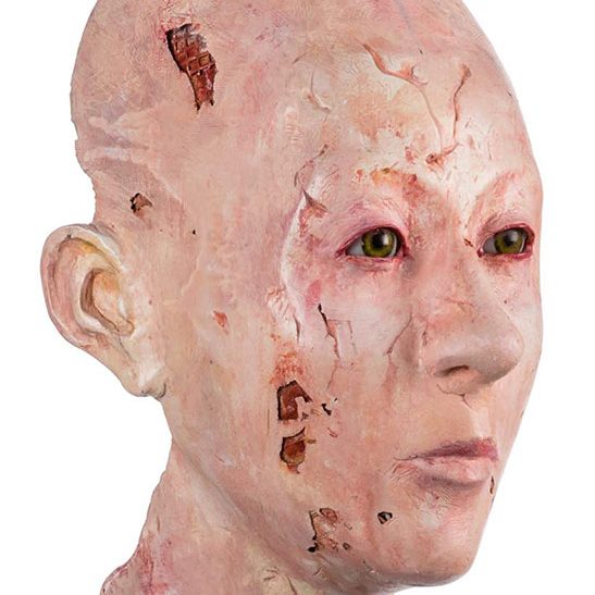 HISTOIRE D'UNE FEMME