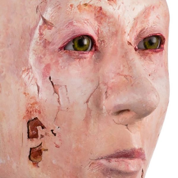 HISTOIRE D'UNE FEMME