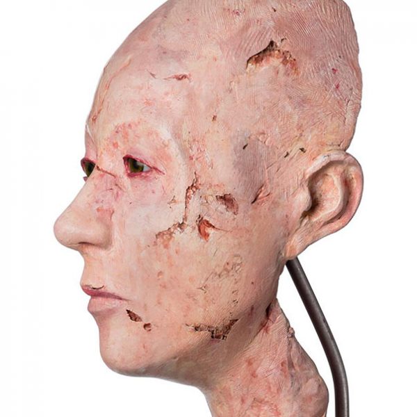 HISTOIRE D'UNE FEMME