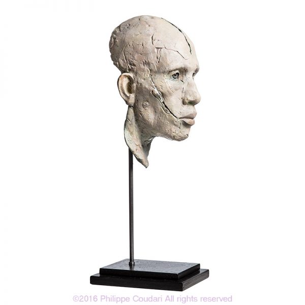 THE WARRIOR WHO BECAME A POET