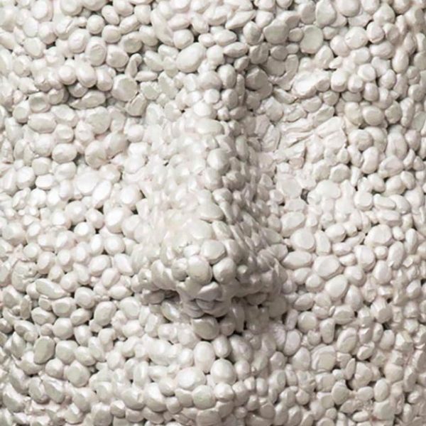 LES PARTICULES AMOUREUSES